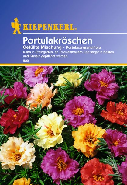 'Portulakröschen' gefüllte Mischung