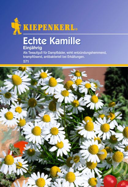 Echte Kamille 'Einjährig'