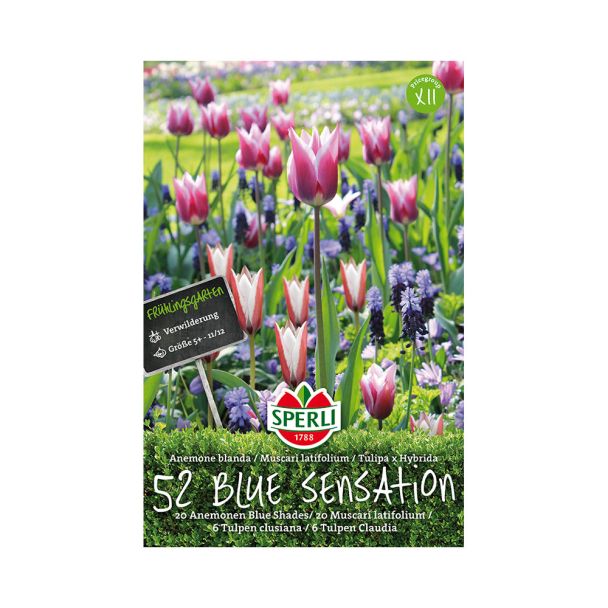 Frühlingsgarten Blue Sensation - Mischung