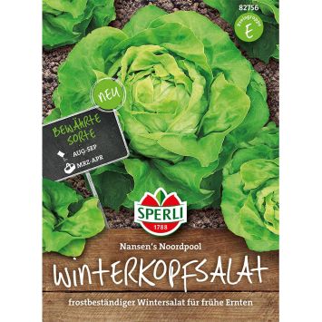 Winterkopfsalat Nansen's Noordpool