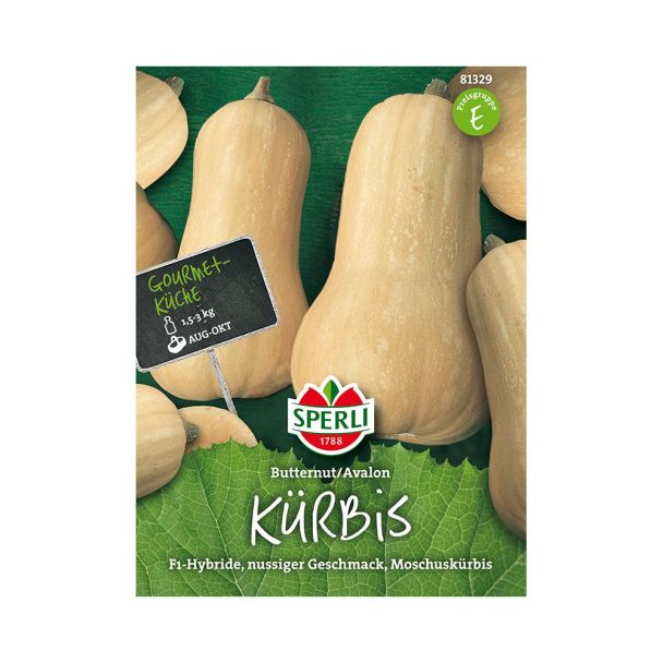 Kürbis 'Butternut 'Avalon' F1'