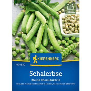 Schalerbsen 'Kleine Rheinländerin'