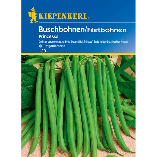 Buschbohnen 'Prinzessa'