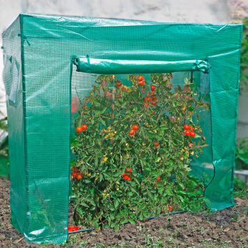 Tomaten-Gewächshaus