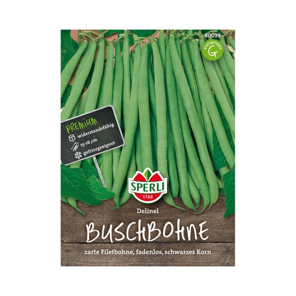 Buschbohnen 'Delinel'