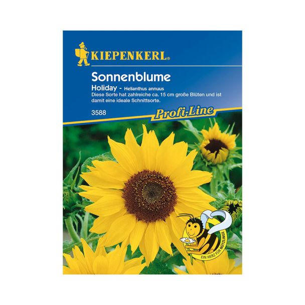 Sonnenblume 'Holiday'