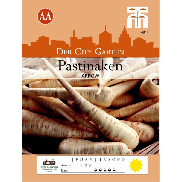 Pastinaken Arrow