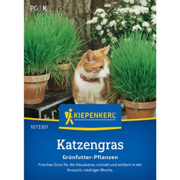 Katzengras Frischgrün Mix