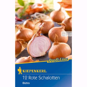 Kiepenkerl Rote Schalotten Biztro