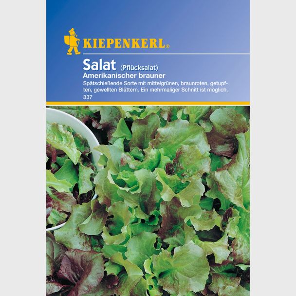 Pflücksalat 'Amerikanischer brauner'