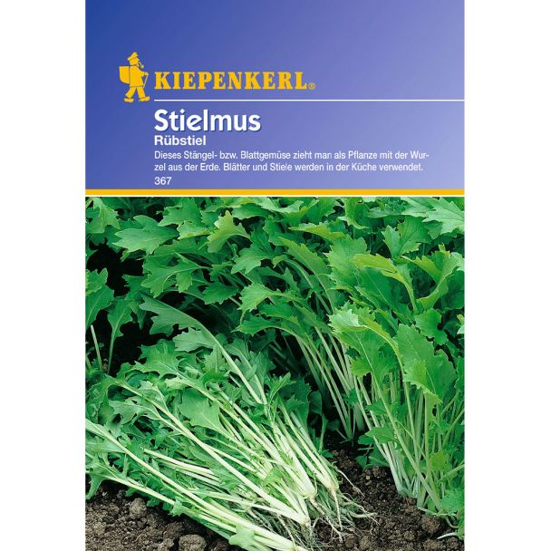 Stielmus 'Rübstiel'