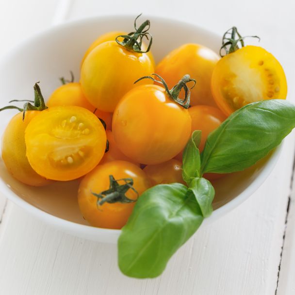 Nektar-Tomate 'Solena®' Yellow F1