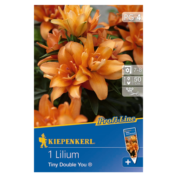 Profi-Line Lilie Tiny Double You