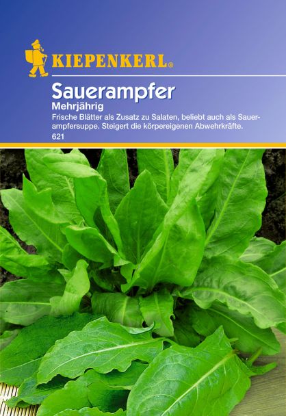 Sauerampfer 'Mehrjährig'