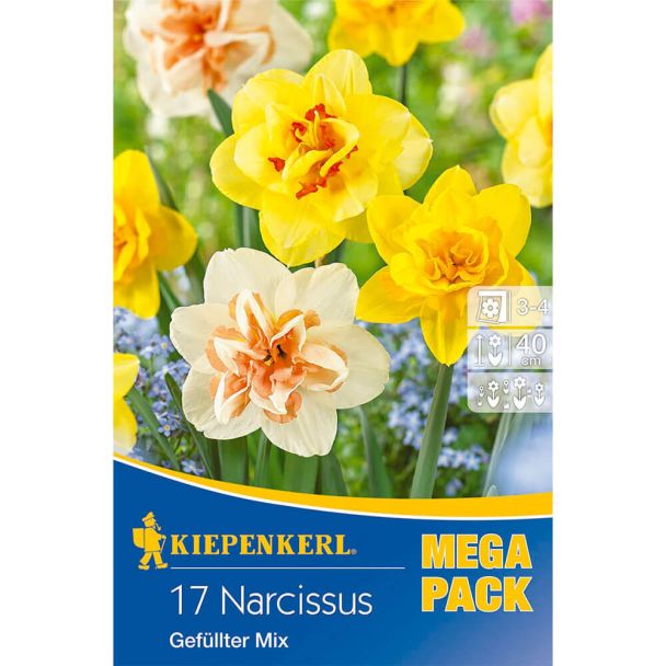 Gefüllter Narzissen Mix