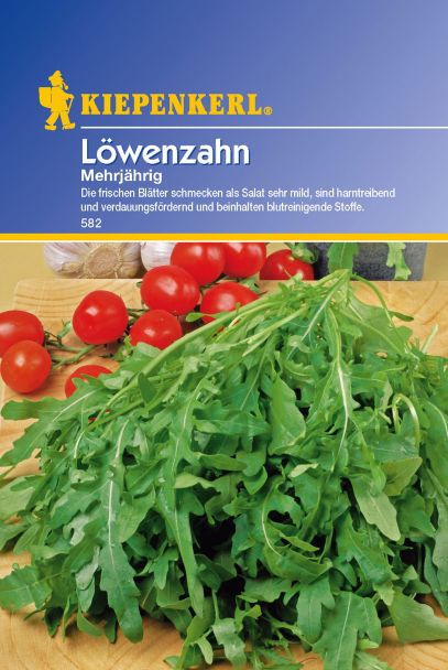 Löwenzahn 'Mehrjährig'