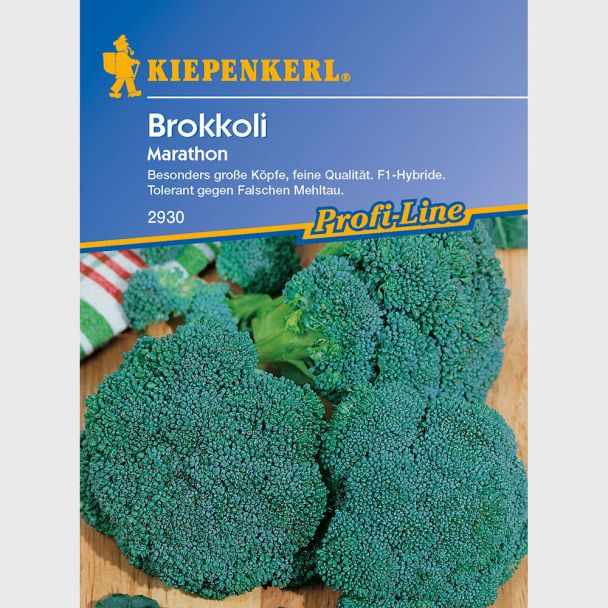 Broccoli 'Marathon' - F1