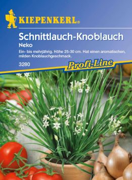 Schnittlauch-Knoblauch 'Neko'