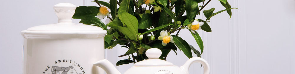 Grüner Tee - Green Flower Tea