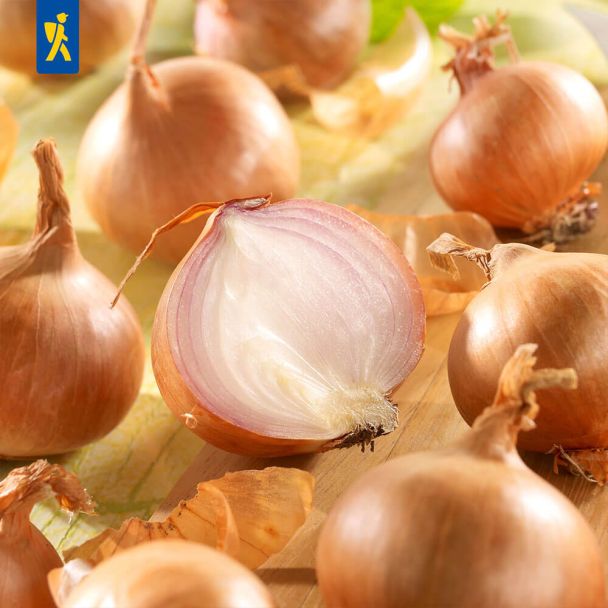 Steckzwiebeln Rote Schalotten Red Sun 400 g (1 kg / € 7,48)