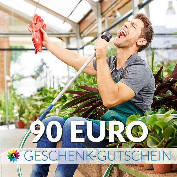 Geschenk-Gutschein, Wert 90 Euro Sänger