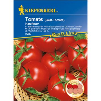 Tomaten 'Harzfeuer' - F1