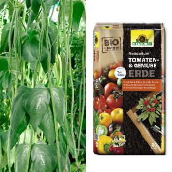 Fadenlose Stangenbohne 'Meterbohnen' + NeudoHum® Tomaten- und Gemüseerde (Sparangebot)