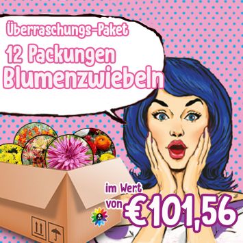 Überraschungspaket Blumenzwiebeln