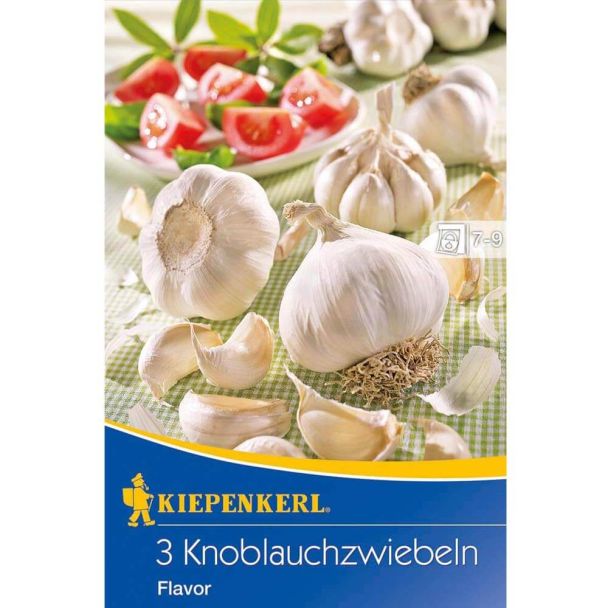 Knoblauch 'Flavor'