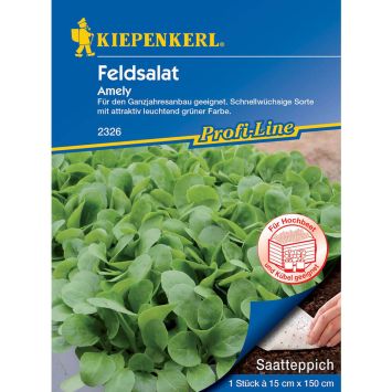 Kiepenkerl Feldsalat 'Amely' (Saatteppich)