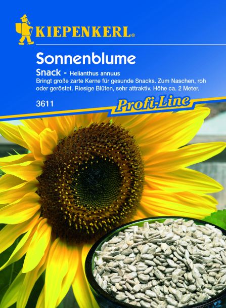 Sonnenblume 'Snack'