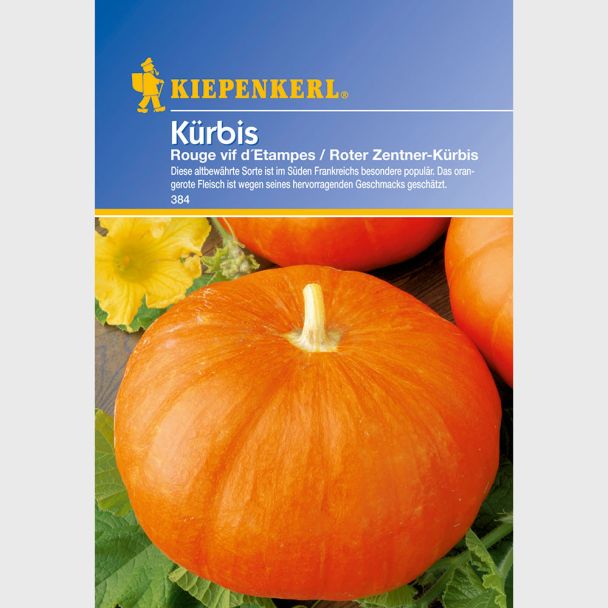 Kürbis 'Rouge vif d'Etampes'