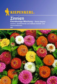 'Zinnien' Kleinblumige Mischung