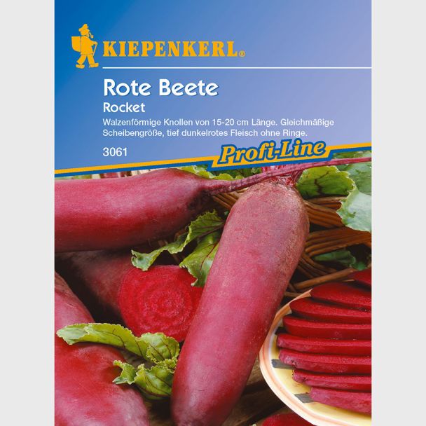 Rote Beete 'Rocket'