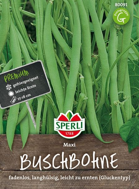 Sperli Buschbohnen 'Maxi'