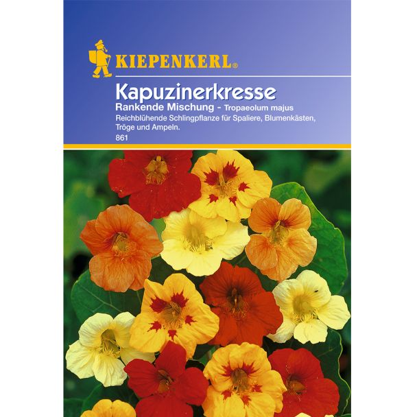 'Kapuzinerkresse' Rankende Mischung