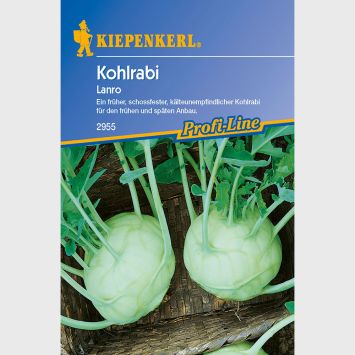 Kohlrabi 'Lanro'