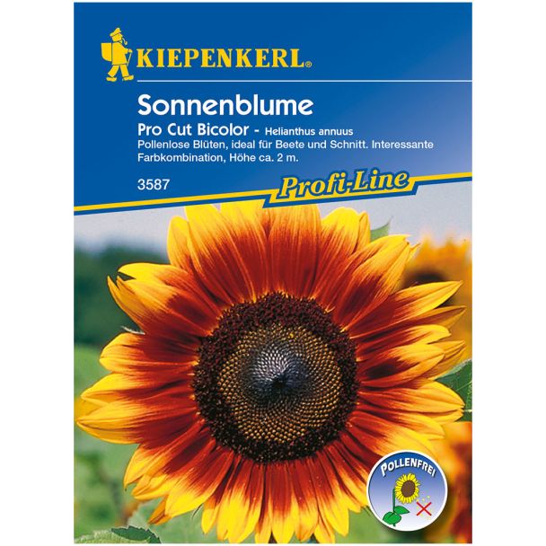 Sonnenblume 'Pro Cut Bicolor'