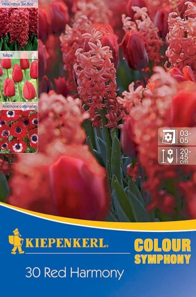 Farbsymphonie Red Harmony
