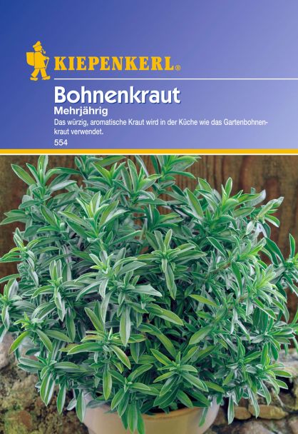 Bohnenkraut 'Mehrjährig'