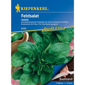 Feldsalat Amely - Saatband 5 m