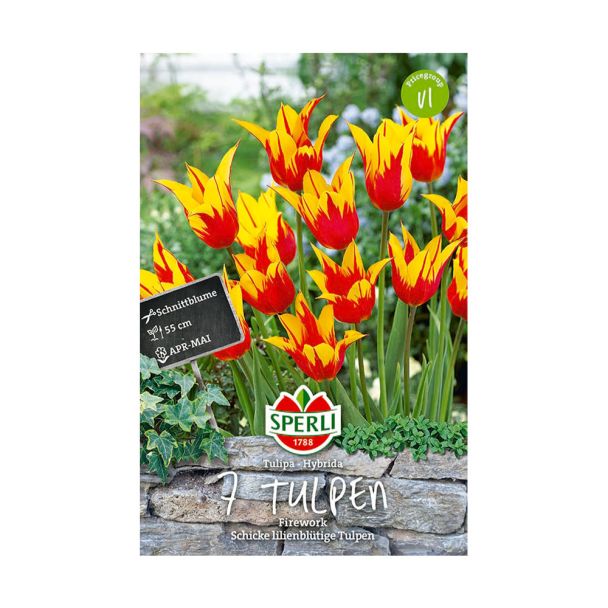 Sperli Tulpen Firework