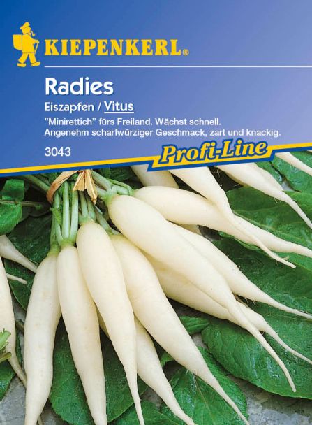 Radies 'Eiszapfen / Vitus'