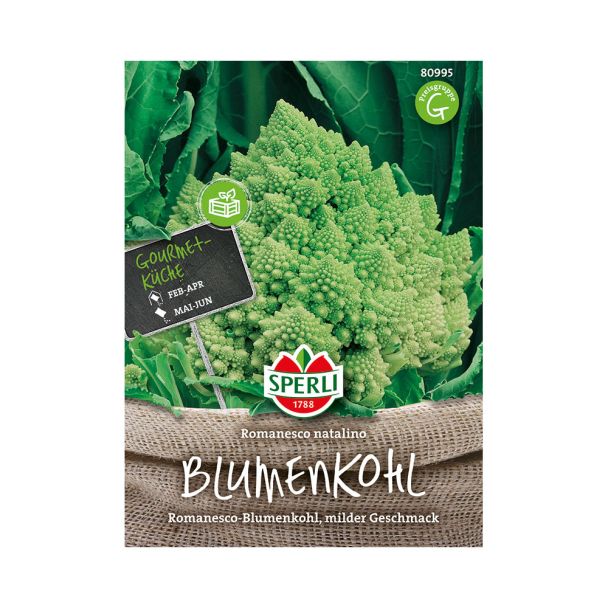Blumenkohl 'Romanesco natalino'