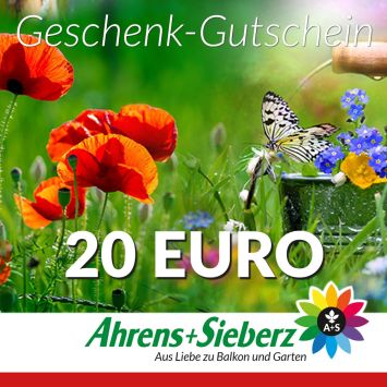 Geschenk-Gutschein, Wert 20 Euro Sommerfreude