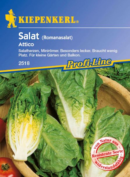 Romanasalat 'Attico'