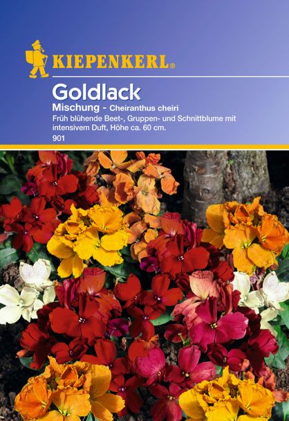 'Goldlack' Mischung