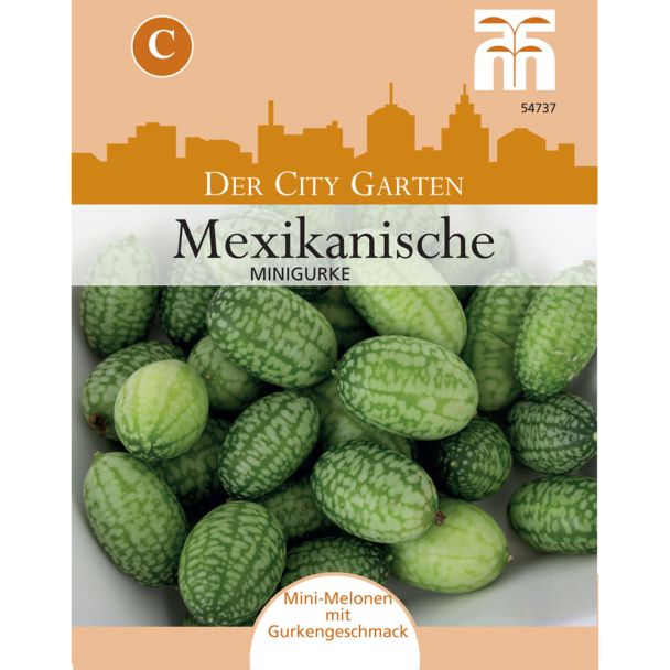 Mexikanische Minigurke Cucamelon