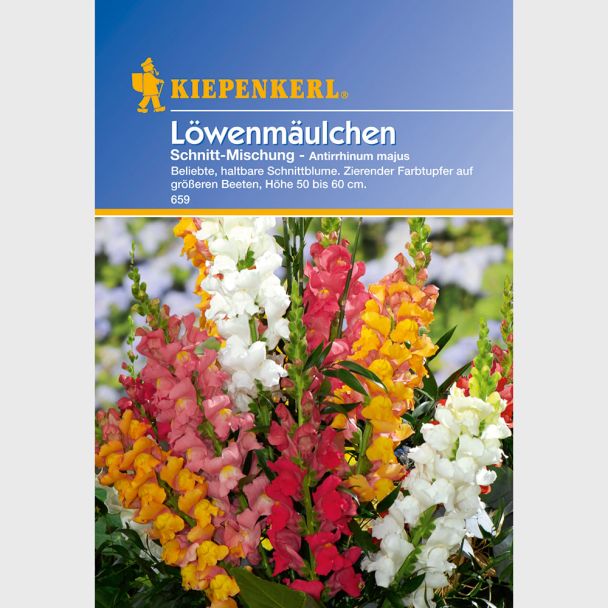 Löwenmäulchen 'Schnitt-Mischung'