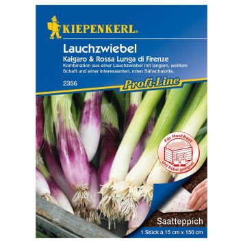 Lauchzwiebel F1 (Saatteppich)